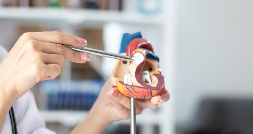 cardiologia-a-catania-due