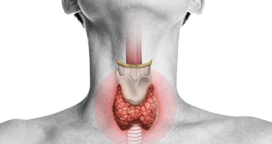 endocrinologia a catania